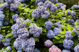 40 Riverview Ln, Barnstable, MA 02632 - Photo 30