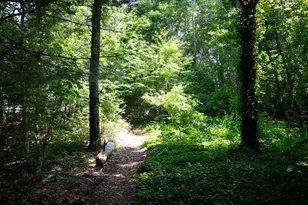 25 Wood Valley Rd, Chatham, MA 02633 - Photo 54