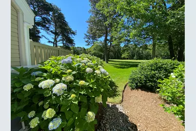 210 Billington Lane #UNIT 210, Brewster, MA 02631 - Photo 4