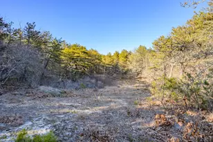 11/13 Whitmanville Rd, Truro, MA 02666 - Photo 44