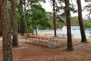 310 Old Chatham Rd, Dennis, MA 02660 - Photo 36