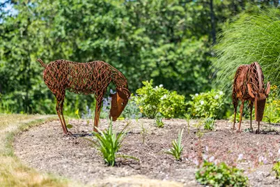 410 Blueberry Pond Drive, Brewster, MA 02631 - Photo 48