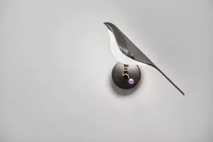 410 Blueberry Pond Dr, Brewster, MA 02631 - Photo 42