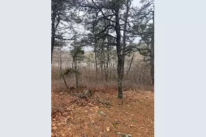 60 Perch Pond Way, Wellfleet, MA 02667 - Photo 2