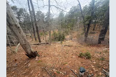 60 Perch Pond Way, Wellfleet, MA 02667 - Photo 8
