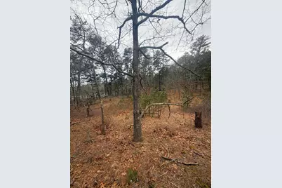 60 Perch Pond Way, Wellfleet, MA 02667 - Photo 4