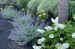 68 Sea Meadow Dr, Dennis, MA 02641 - Photo 52