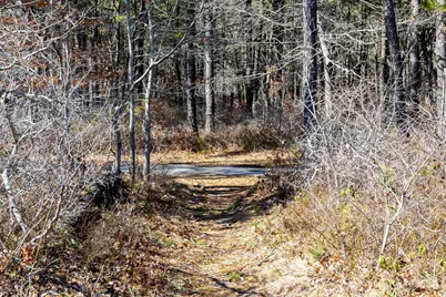 29 Lumberjack Trail, Yarmouth, MA 02673 - Photo 24