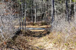 29 Lumberjack Trail, Yarmouth, MA 02673 - Photo 24