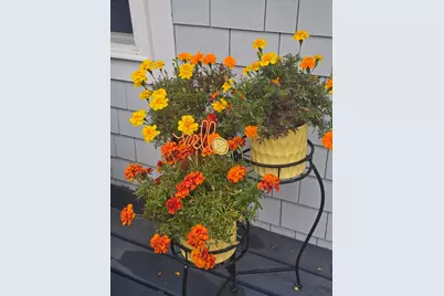 292 Route 28 #7, Harwich, MA 02671 - Photo 4