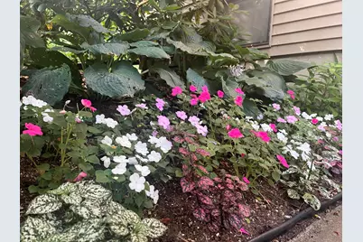 34 Erics Way #UNIT G 7, Wellfleet, MA 02667 - Photo 24