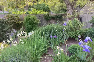 240 Bradford St, Provincetown, MA 02657 - Photo 32