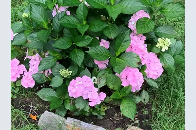 49 Great Hill Drive, Barnstable, MA 02668 - Photo 54