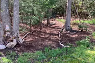 49 Great Hill Dr, Barnstable, MA 02668 - Photo 52