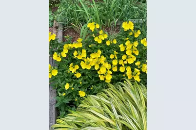 49 Great Hill Drive, Barnstable, MA 02668 - Photo 56