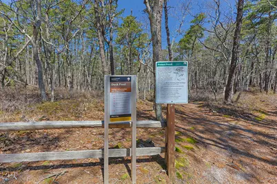 175 Delphi Path, Wellfleet, MA 02667 - Photo 4