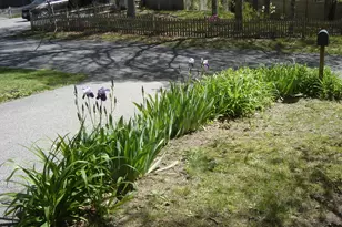 2 Zephyr Dr, Yarmouth, MA 02675 - Photo 24