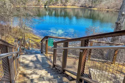 5 Maple Lane, Brewster, MA 02631 - Photo 42