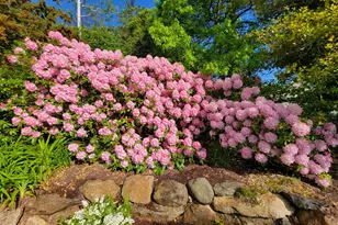1 Peaked Cliff Rd, Bourne, MA 02562 - Photo 76