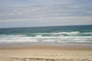 50 Designers Rd, Wellfleet, MA 02667 - Photo 54