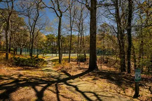 59 Main St, Dennis, MA 02638 - Photo 32