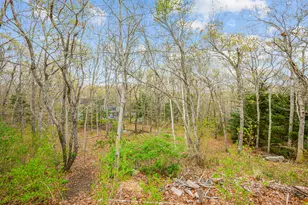16 Old Toll Rd, Barnstable, MA 02668 - Photo 74