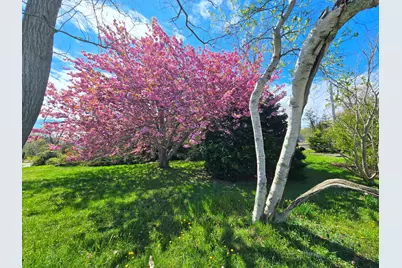 56 Locust Road, Orleans, MA 02653 - Photo 14