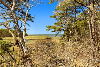 260 Blue Heron Road, Wellfleet, MA 02667 - Photo 54