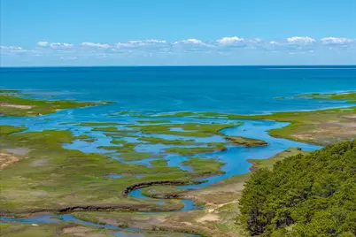 260 Blue Heron Road, Wellfleet, MA 02667 - Photo 58