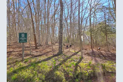206 Landing Drive, Brewster, MA 02631 - Photo 74