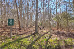 206 Landing Dr, Brewster, MA 02631 - Photo 74