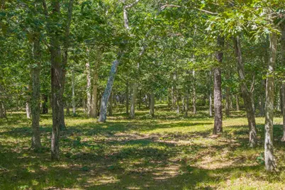 4 Wilsons Lane, Edgartown, MA 02539 - Photo 16