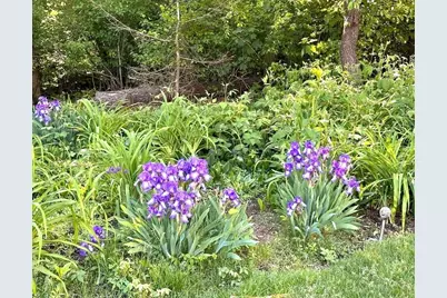 22 Briarfield Road, Dennis, MA 02641 - Photo 34
