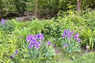 22 Briarfield Rd, Dennis, MA 02641 - Photo 34