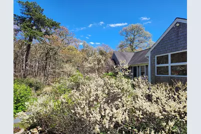 988 Crowells Bog Road, Brewster, MA 02631 - Photo 72