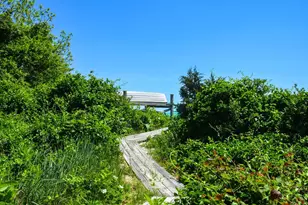 16 Frog Hollow, Tisbury, MA 02568 - Photo 20
