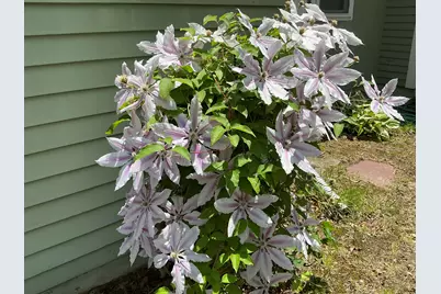 434 W Yarmouth Road, Yarmouth, MA 02673 - Photo 30