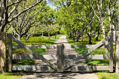 61 Butlers Cove Road, Edgartown, MA 02539 - Photo 18
