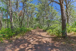 1100 Ocean View Dr, Wellfleet, MA 02667 - Photo 6