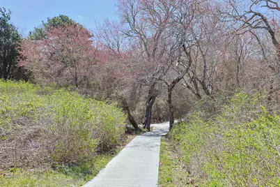 35 Sands Road, Eastham, MA 02642 - Photo 76