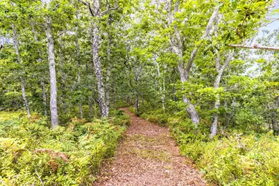 35A Higgins Hollow Road, Truro, MA 02652 - Photo 6