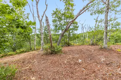 35A Higgins Hollow Road, Truro, MA 02652 - Photo 8