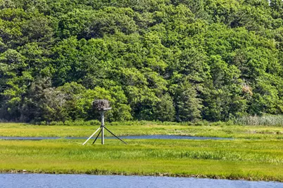 14 Ellen Lane, Bourne, MA 02559 - Photo 46