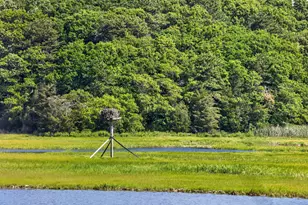 14 Ellen Ln, Bourne, MA 02559 - Photo 46