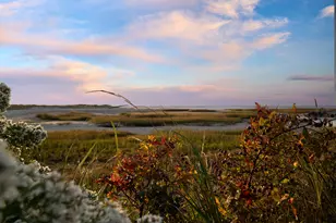 37 Autumn Ct, Brewster, MA 02631 - Photo 82
