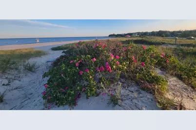 177 Bayview Circle, Barnstable, MA 02655 - Photo 32