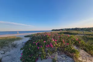 177 Bayview Cir, Barnstable, MA 02655 - Photo 32