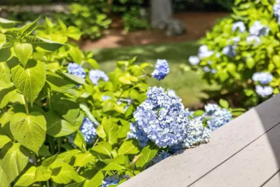 24 Open Space Drive, Sandwich, MA 02563 - Photo 72