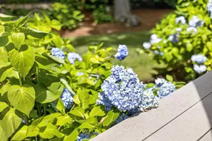 24 Open Space Dr, Sandwich, MA 02563 - Photo 72