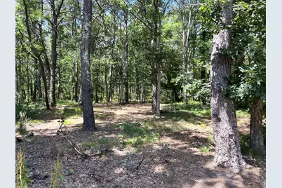 591 Old Bass River Road, Dennis, MA 02638 - Photo 20